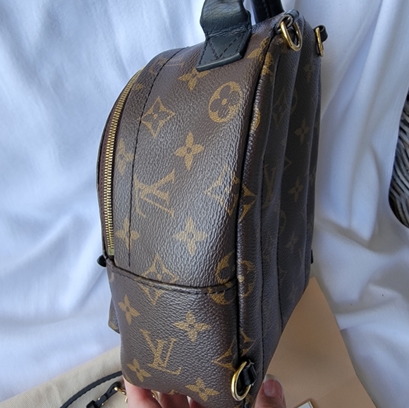 Louis Vuitton Palm Spring Mini Backpack - Picture 5 of 16